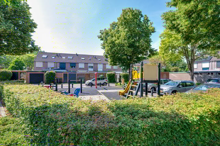 Foto 29 van Papaver 22