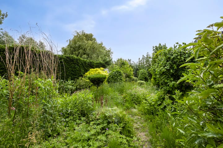 Foto 29 van Liergouw 30