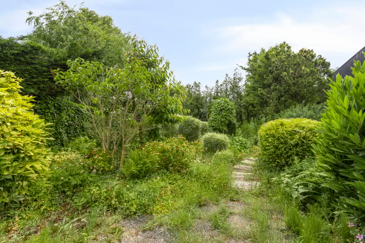 Foto 30 van Liergouw 30