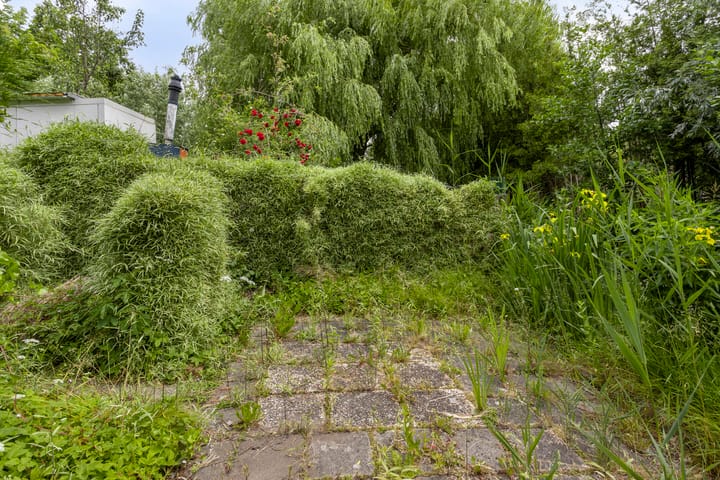 Foto 31 van Liergouw 30