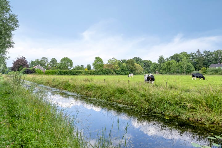 Foto 53 van Karel Gerardstraat 8