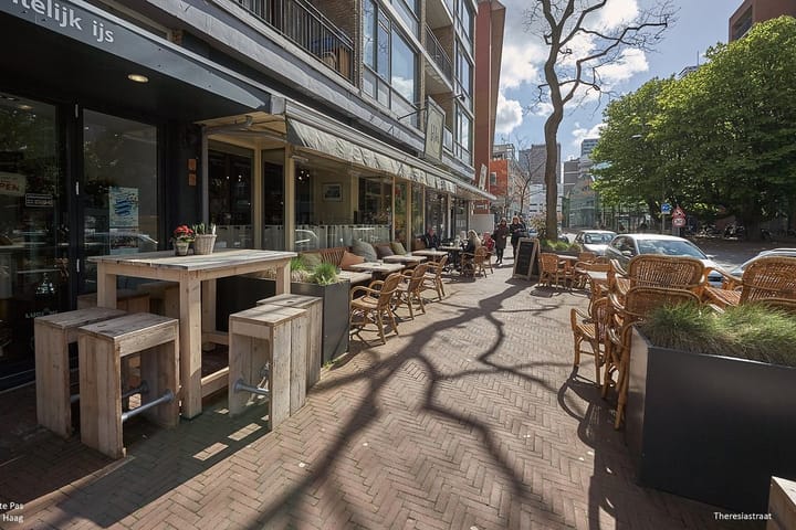 Foto 17 van Willem van Outhoornstraat 47