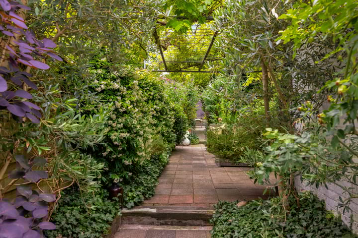 Foto 61 van Oranjestraat 24