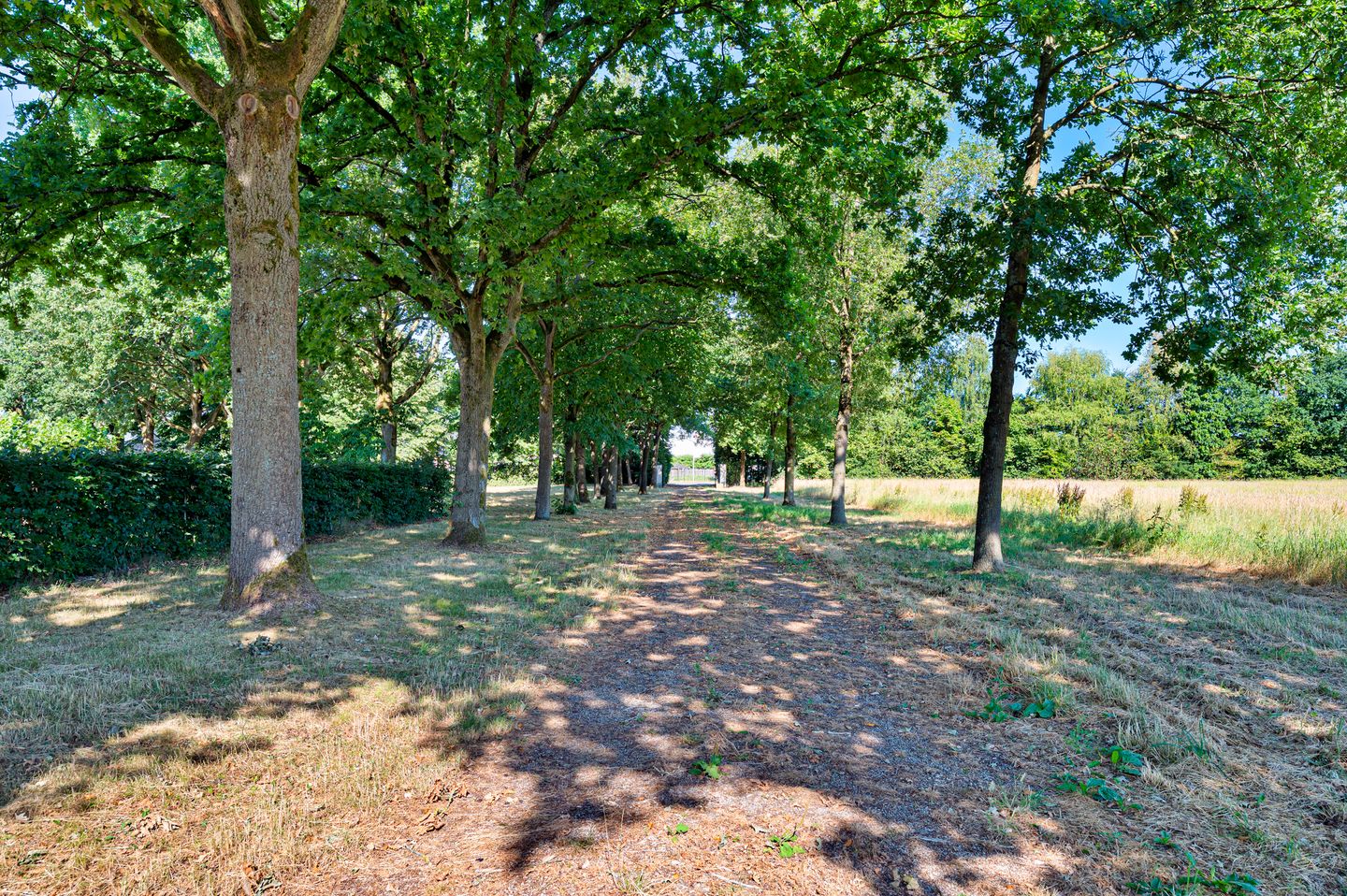 Photo 4 of Witrijtseweg 18