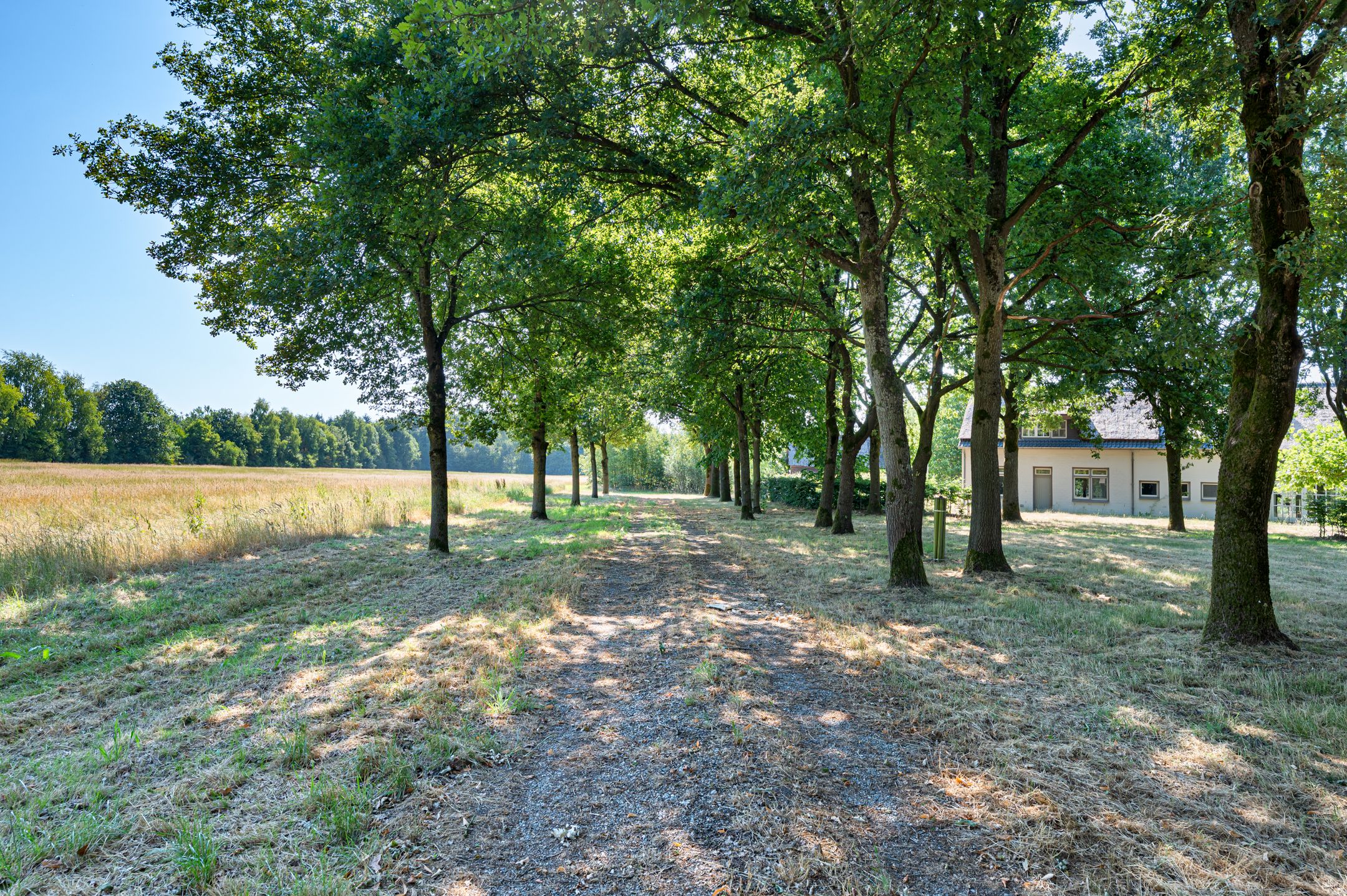 Photo 66 of Witrijtseweg 18