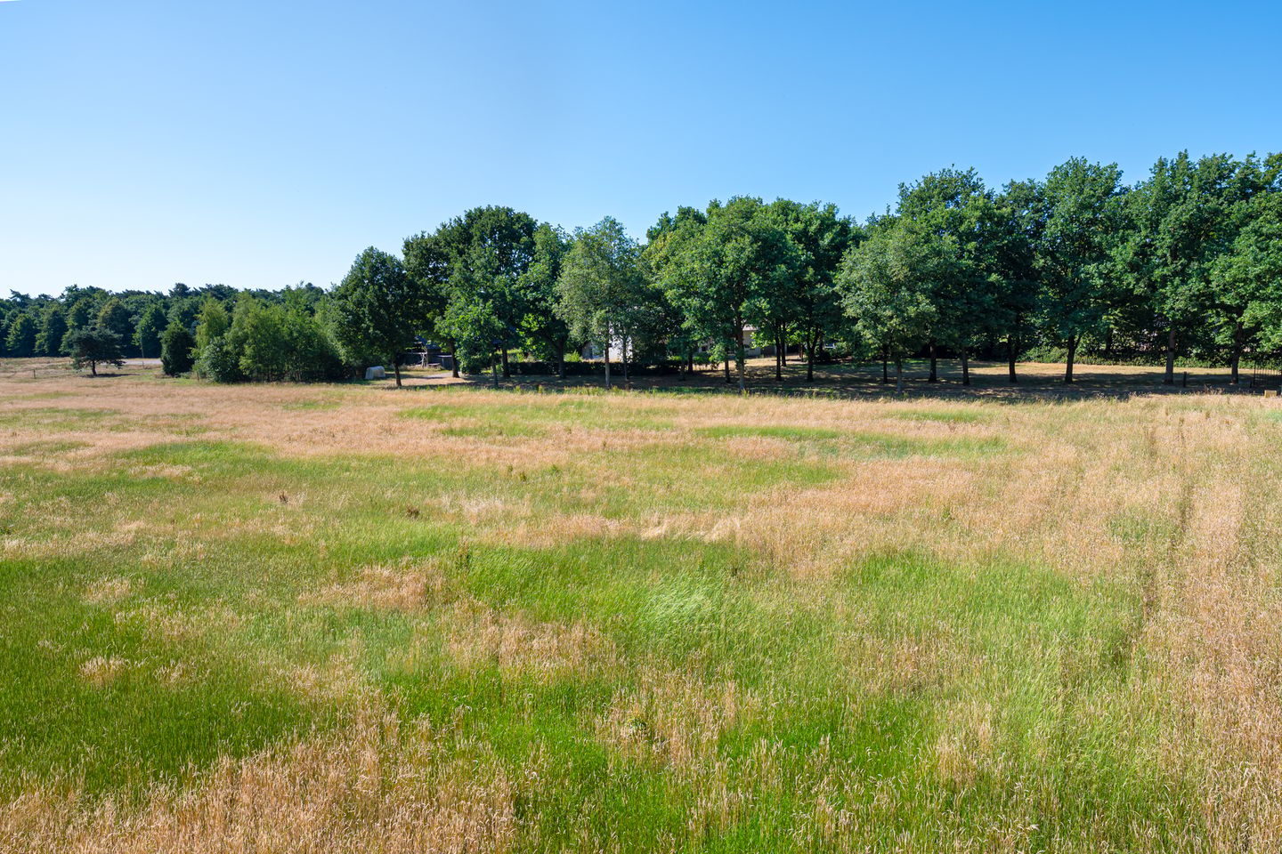 Photo 70 of Witrijtseweg 18