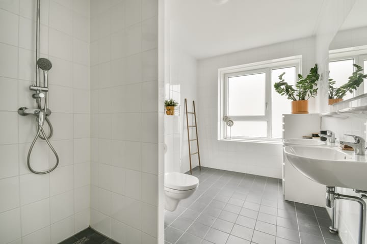 Foto 19 van Galileistate 149