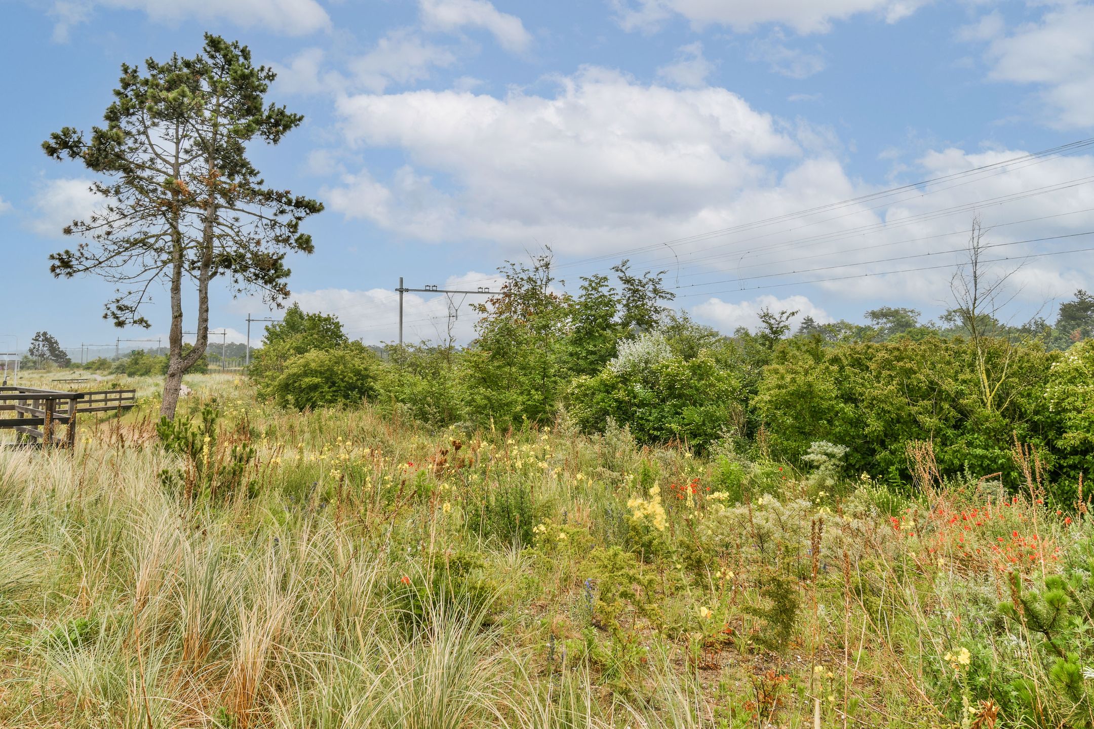 Foto 24 van Galileistate 149