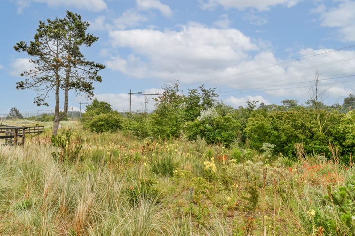 Foto 24 van Galileistate 149