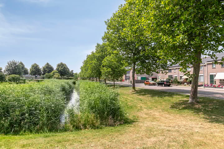 Photo 5 of Richel 47