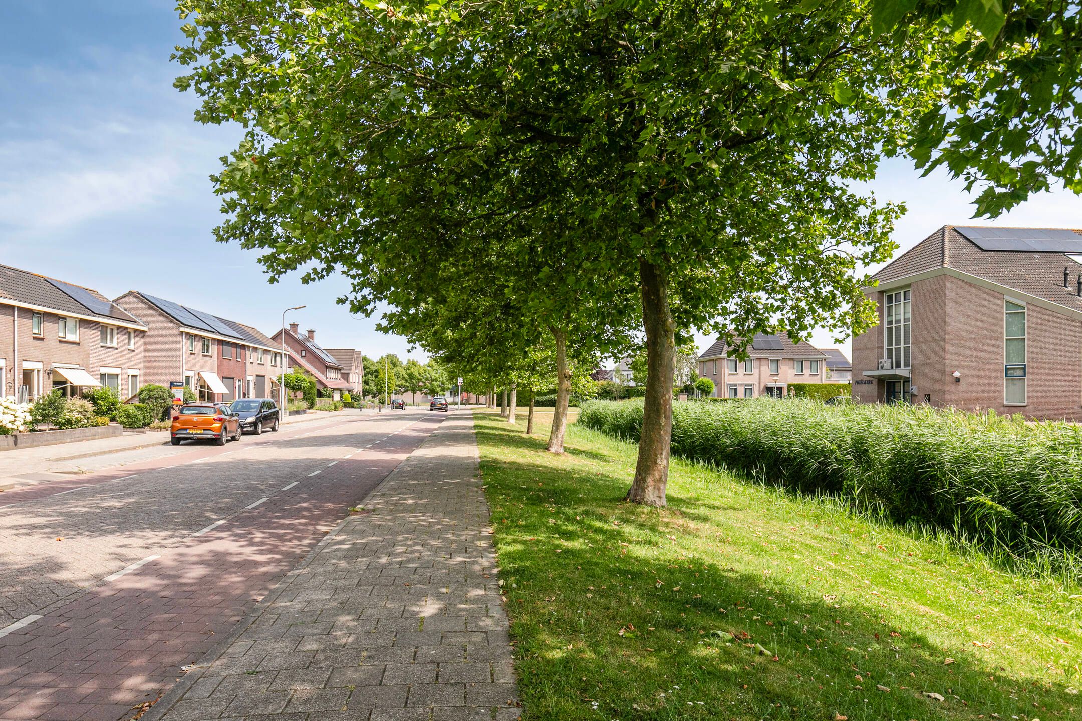 Foto 6 van Richel 47