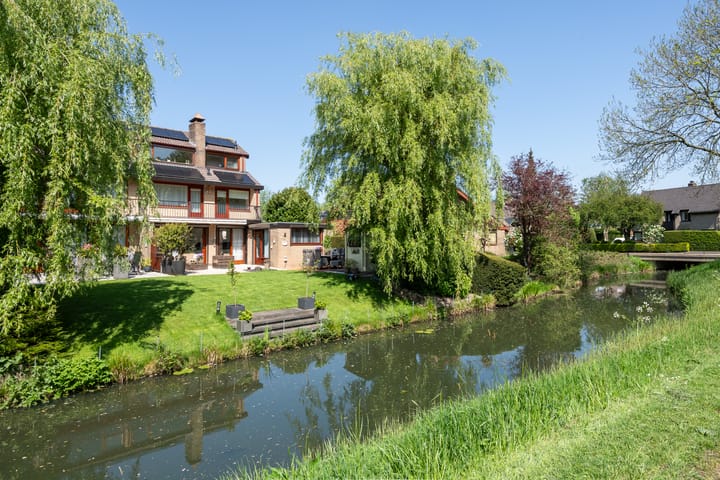 Foto 1 van Roerdomp 1