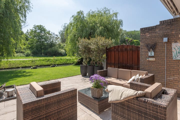 Foto 2 van Roerdomp 1