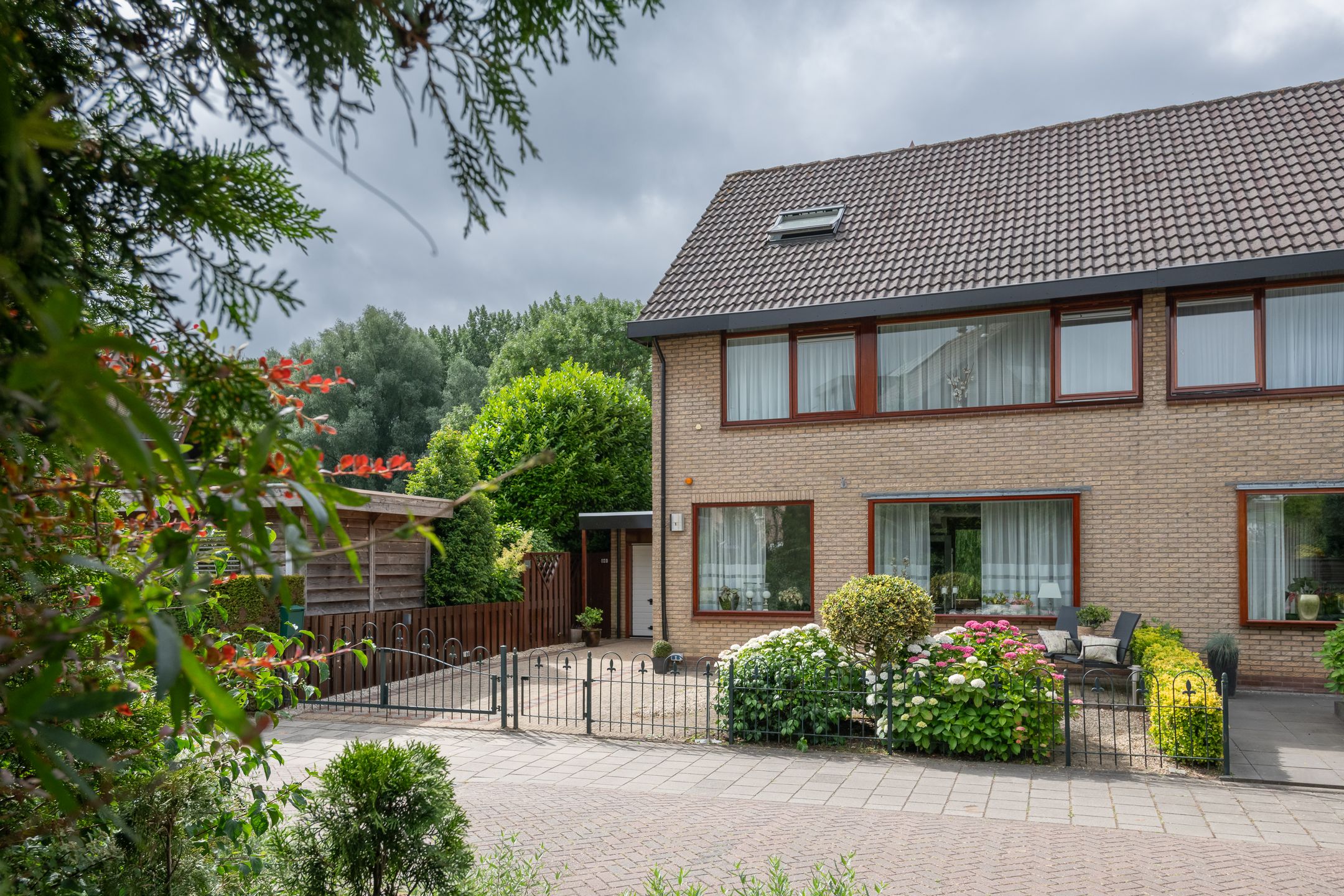 Foto 3 van Roerdomp 1