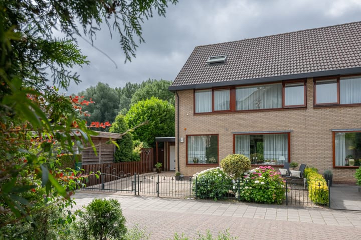 Foto 3 van Roerdomp 1