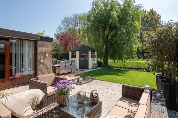 Foto 10 van Roerdomp 1