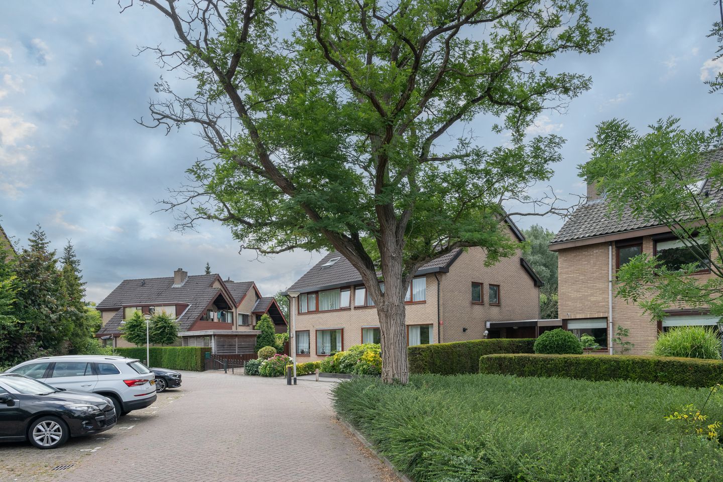 Foto 25 van Roerdomp 1