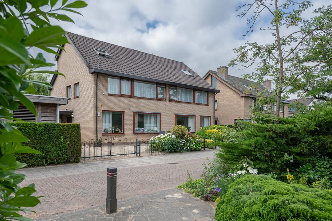 Foto 26 van Roerdomp 1