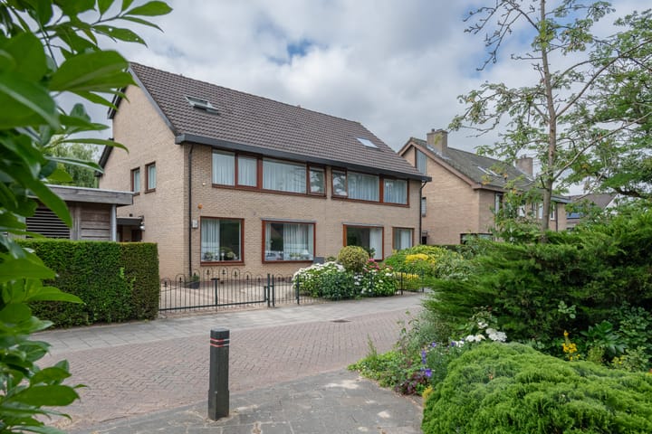 Foto 26 van Roerdomp 1