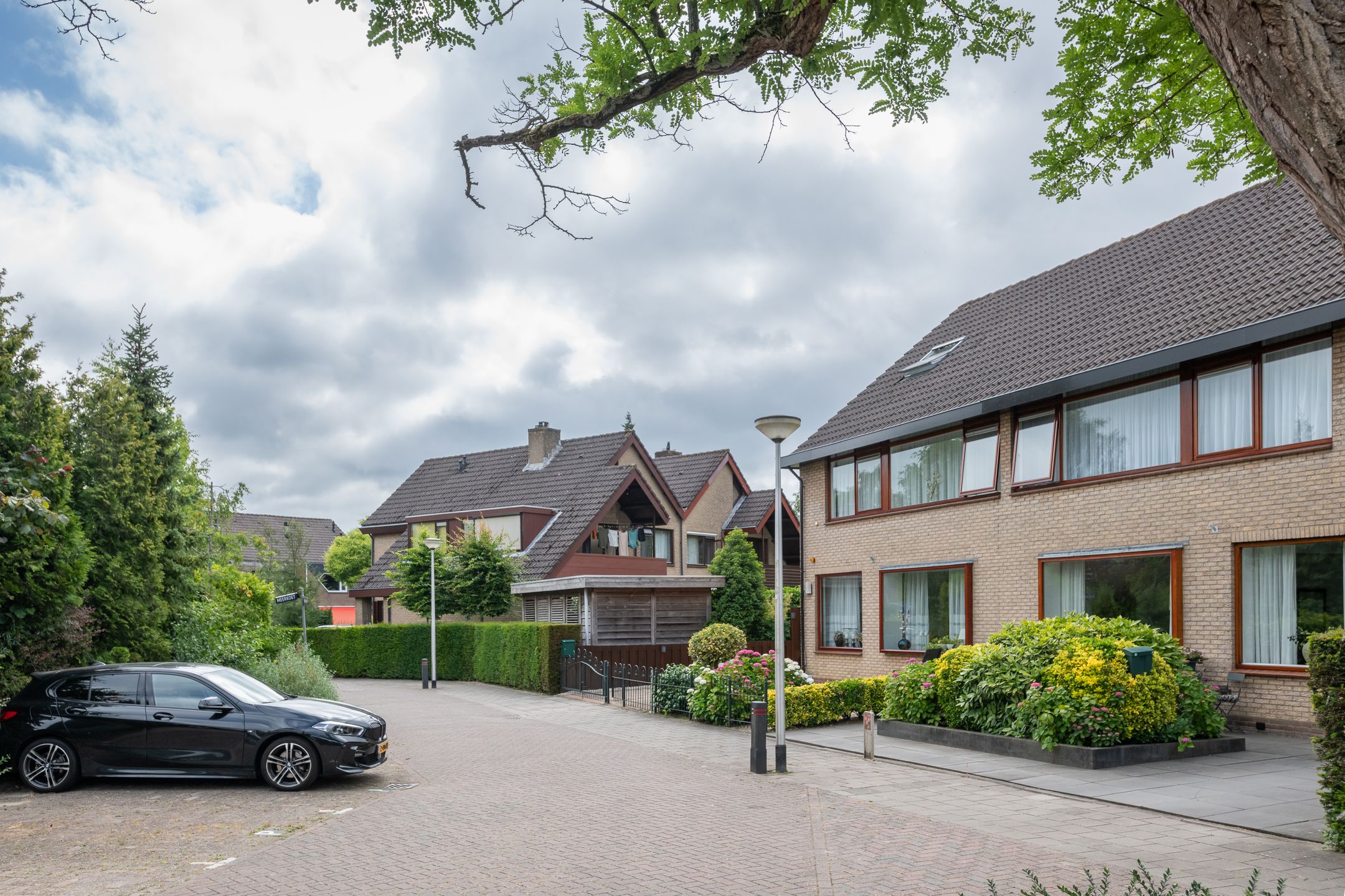 Foto 27 van Roerdomp 1