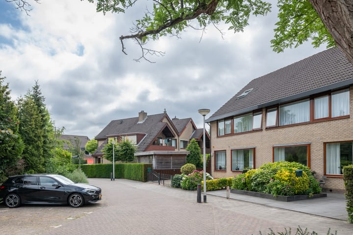 Foto 27 van Roerdomp 1