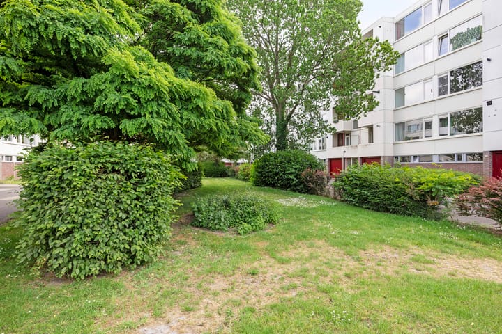 Foto 23 van Van Eysingalaan 179