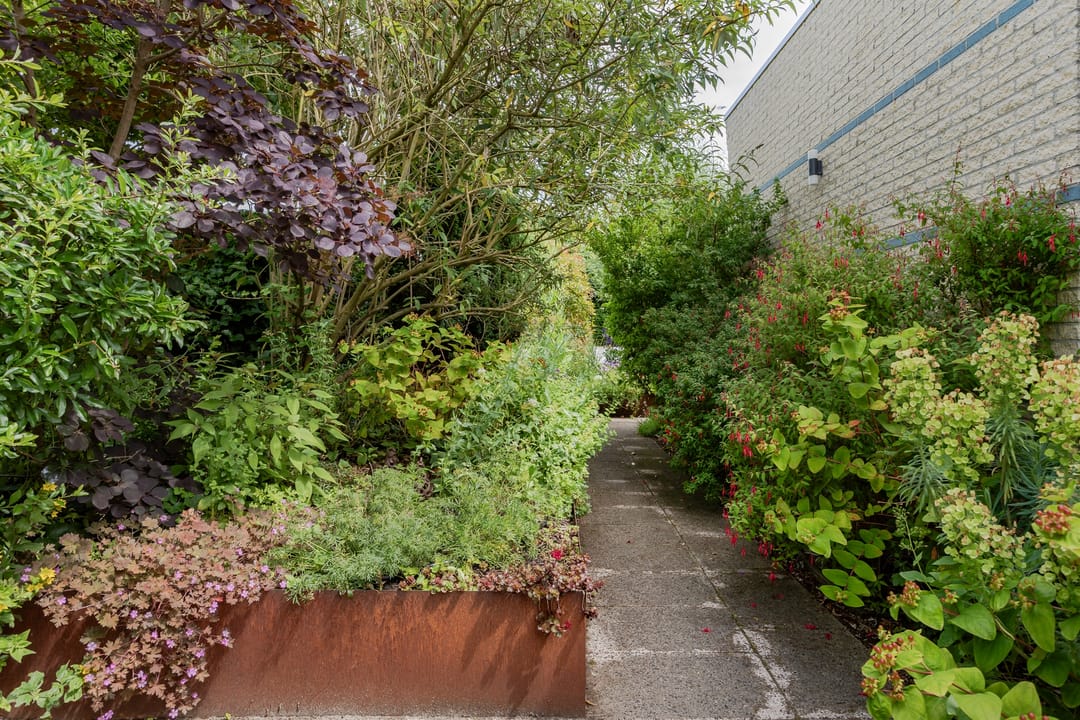 Photo 47 of Nuwendoorn 63