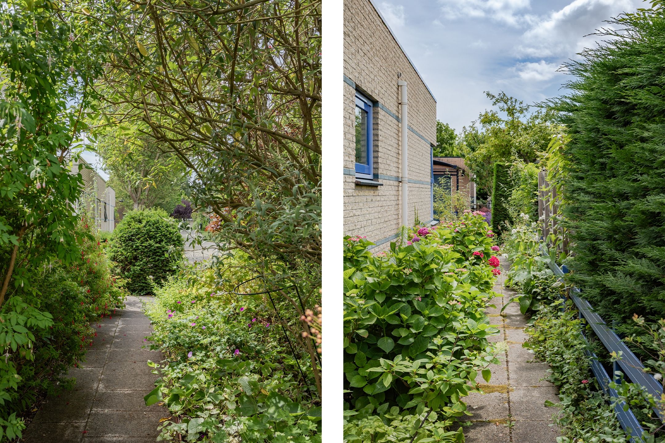 Photo 48 of Nuwendoorn 63