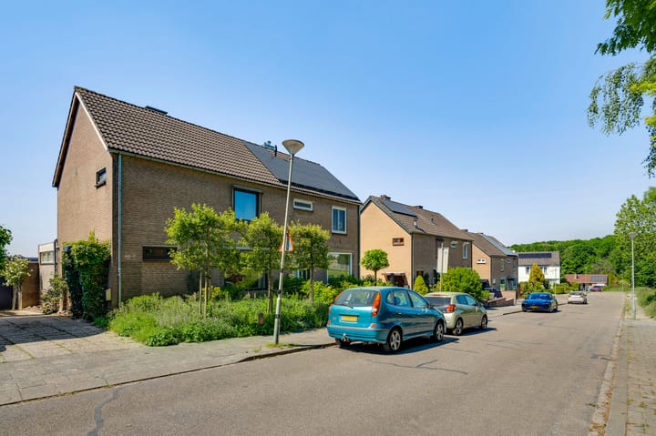 Foto 23 van Steinhartstraat 42