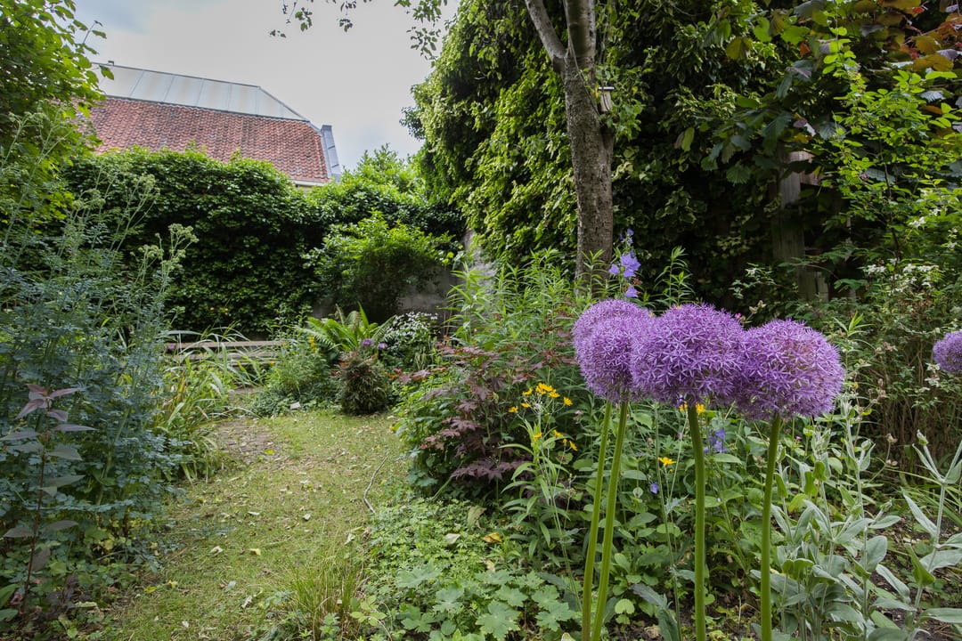 Photo 38 of Oudegracht 309-A