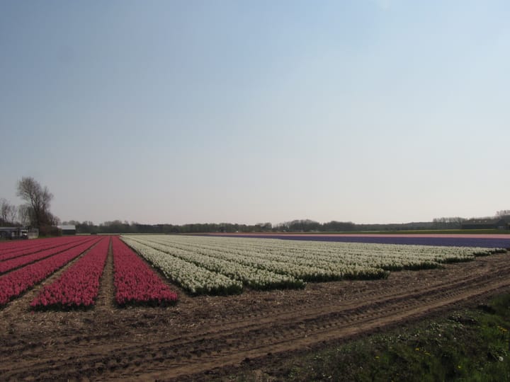 Foto 5 van Herenweg 282-16