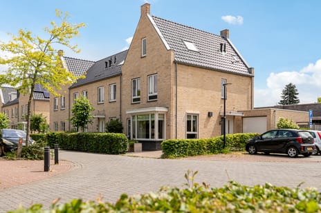 undefined main image