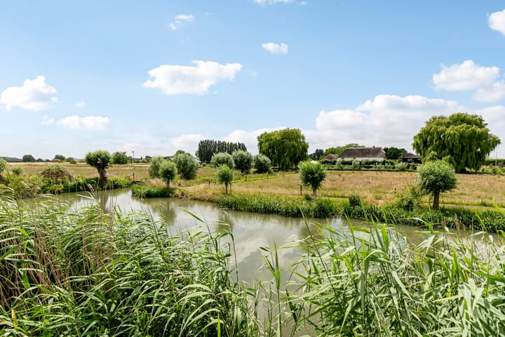 Foto 5 van Rietkamp 58