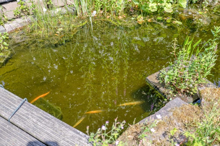 Foto 34 van De Uilenburg 6