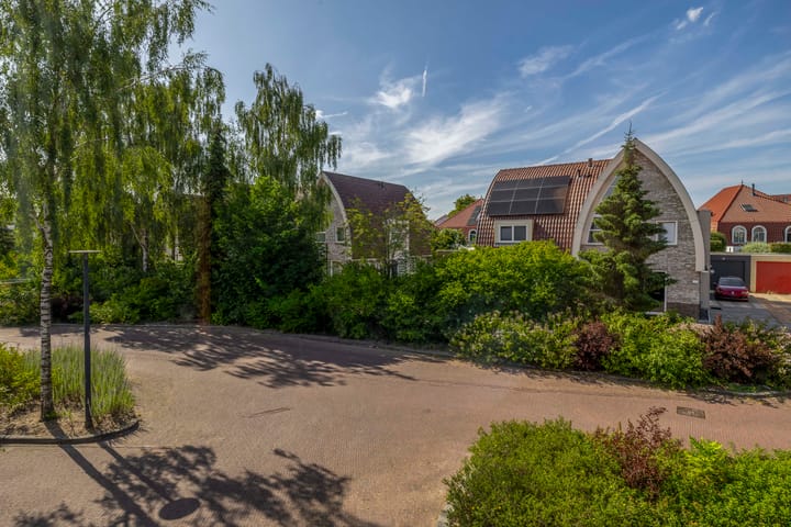 Foto 65 van Solislaan 196