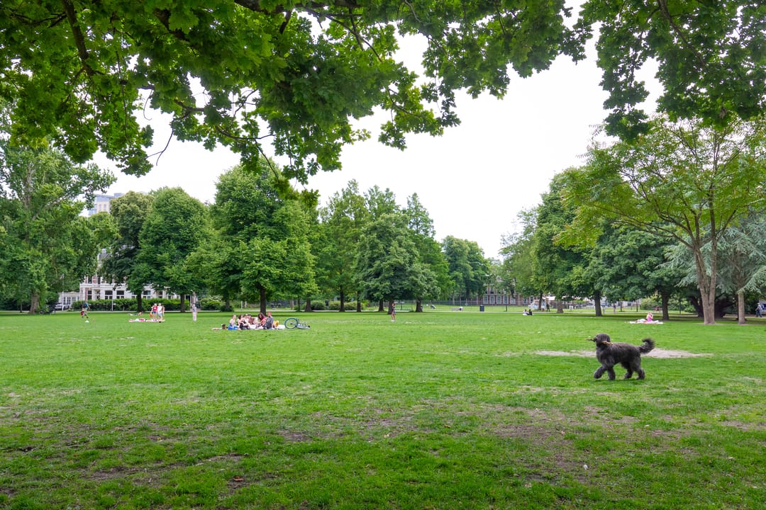 Foto 26 van Dreef 2-0032