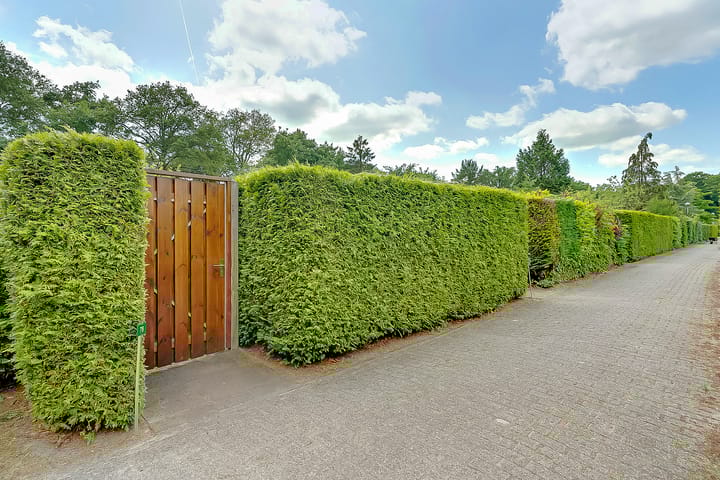 Foto 43 van Soestdijkerweg 8-A78