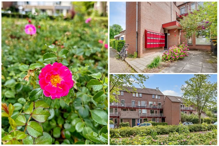 Foto 2 van de Aak 46