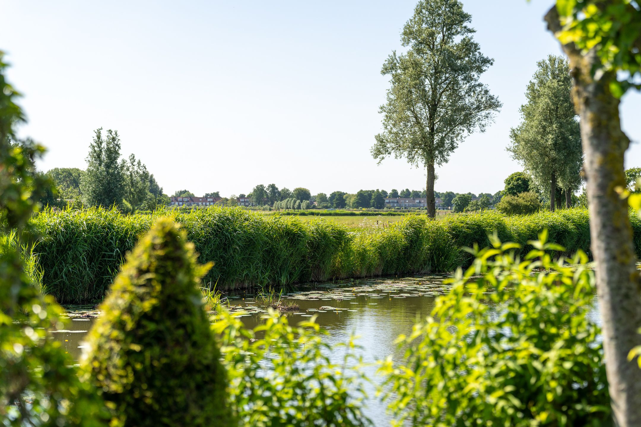 Foto 54 van Molenwerf 9