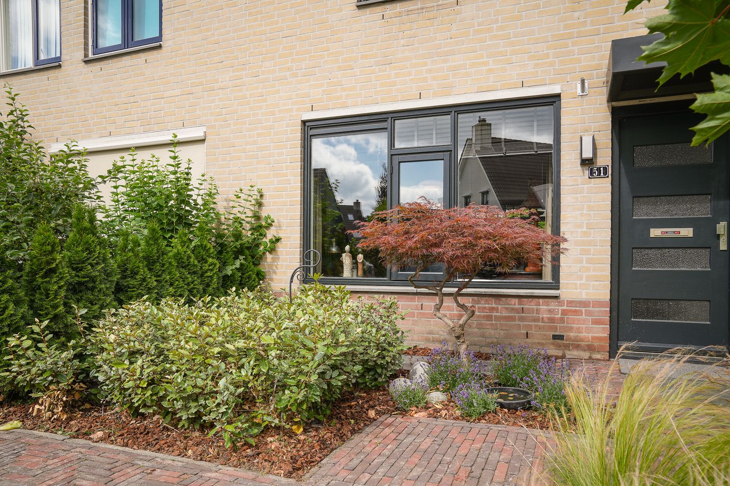 Foto 5 van Sterappel 51