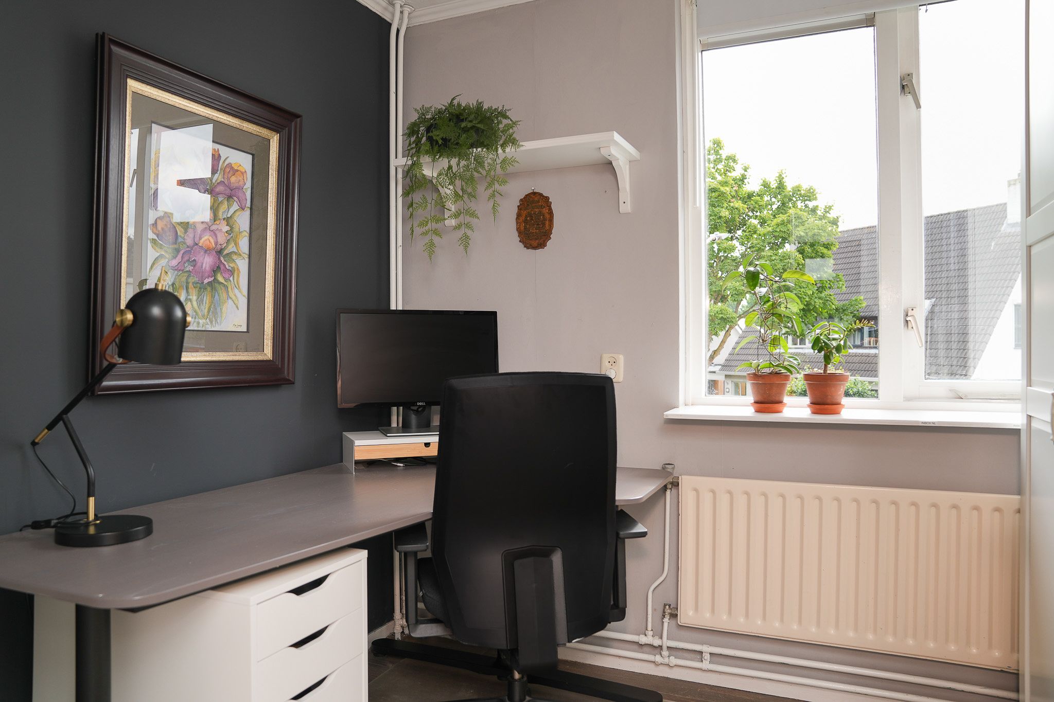 Foto 18 van Sterappel 51