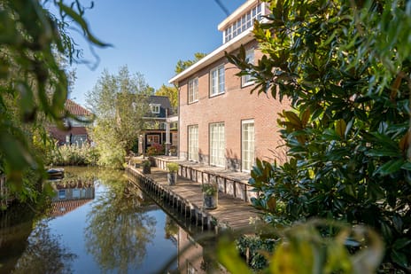 Engelwortel 10 tertiary image