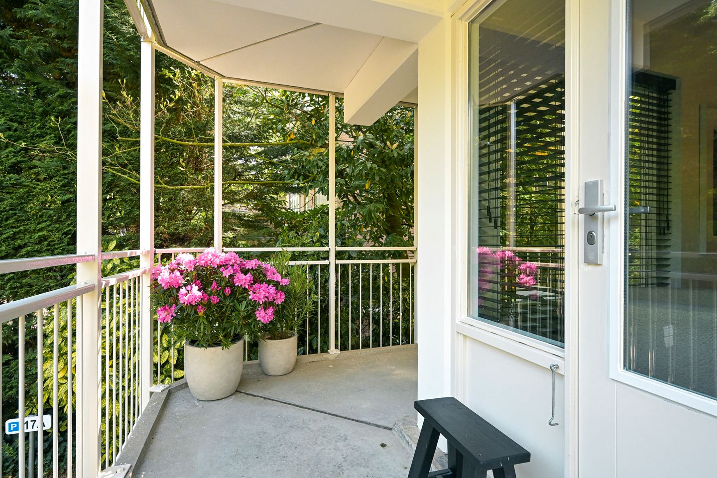 Photo 5 of Parkweg 17-A