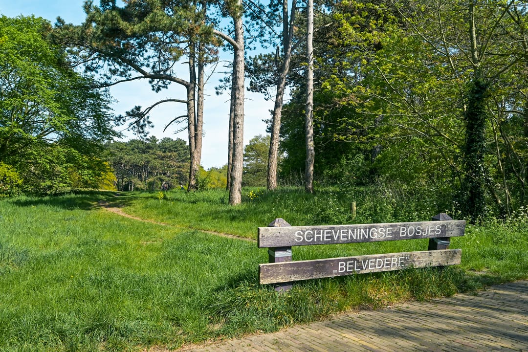 Photo 43 of Parkweg 17-A