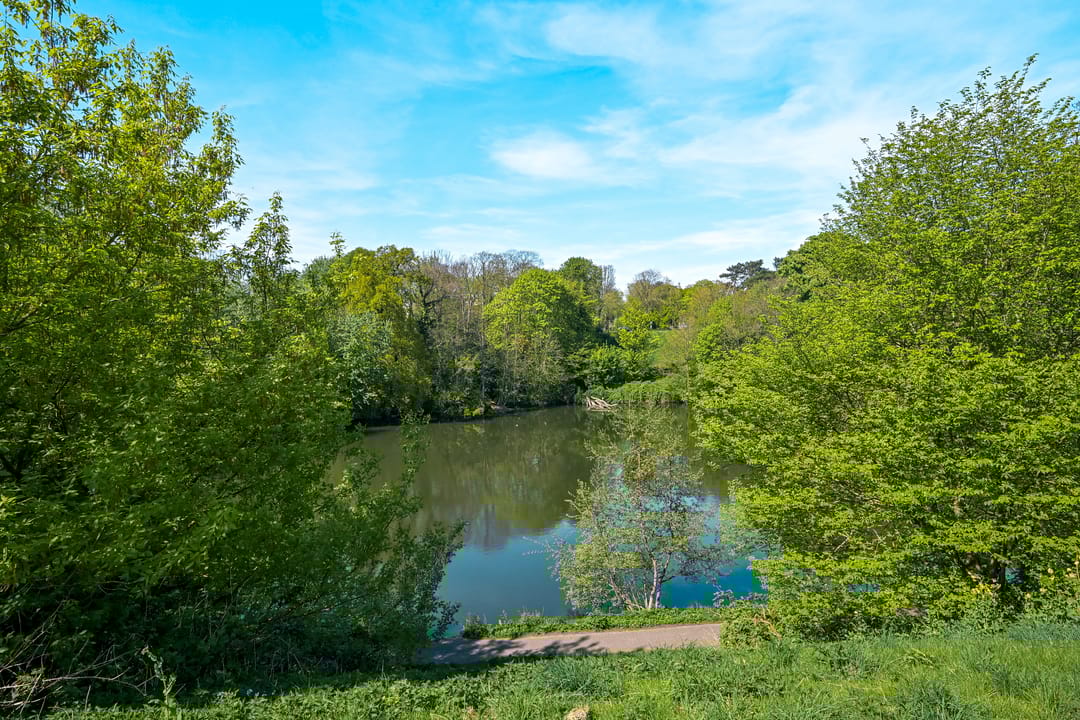 Photo 46 of Parkweg 17-A