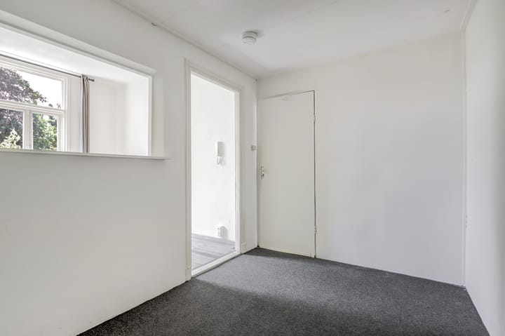 Foto 26 van de Ruyterstraat 207