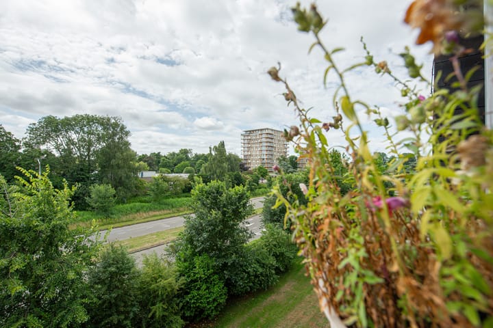 Foto 30 van Gravin Juliana van Stolberglaan 243