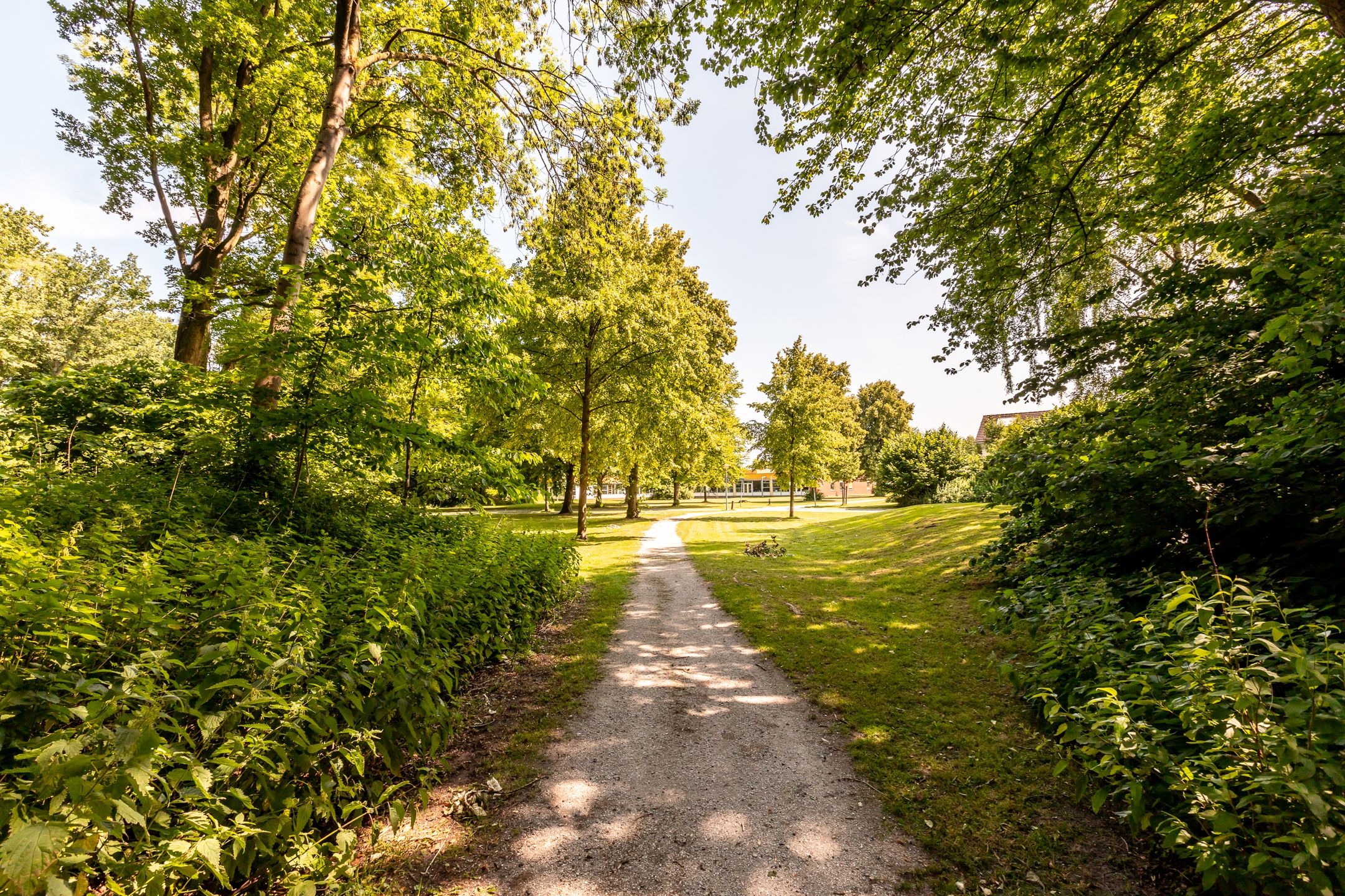 Foto 42 van Voorhof 88