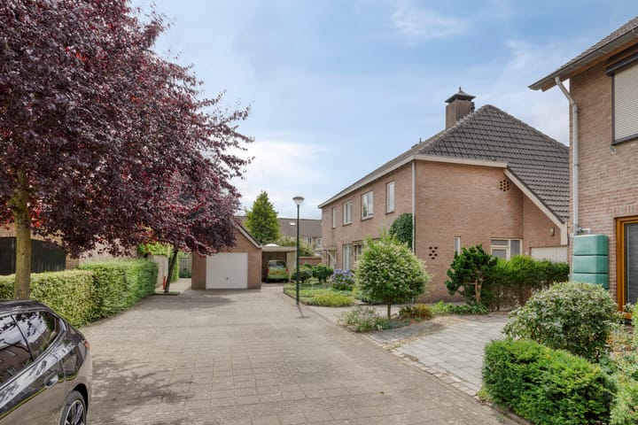 Foto 2 van Hoefblad 28