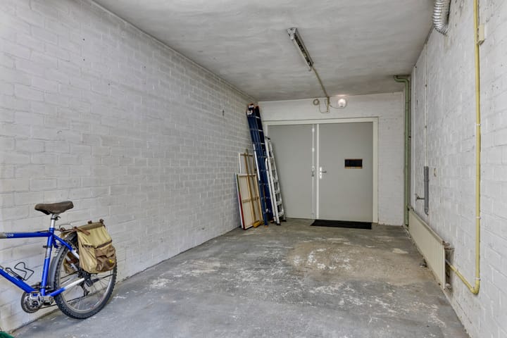 Foto 19 van Hoefblad 28